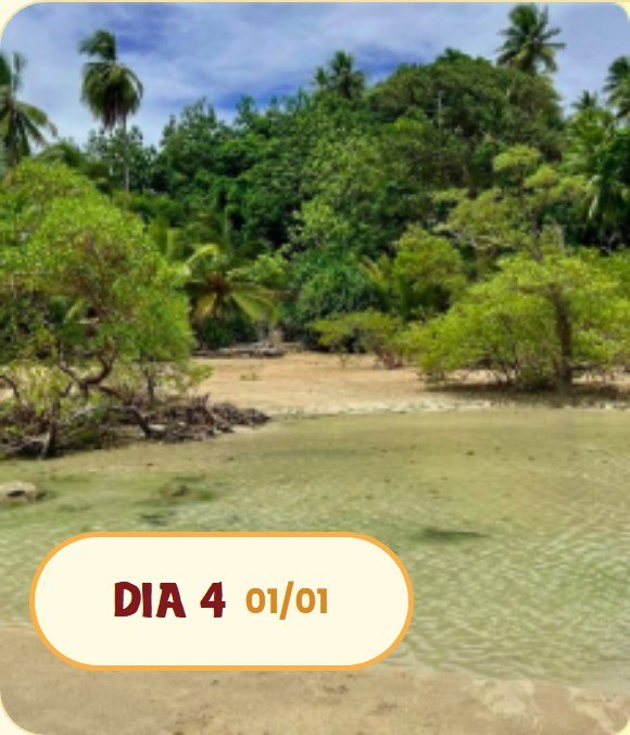 Ano Novo - Boipeba, dia 4 da viagem (01/01)